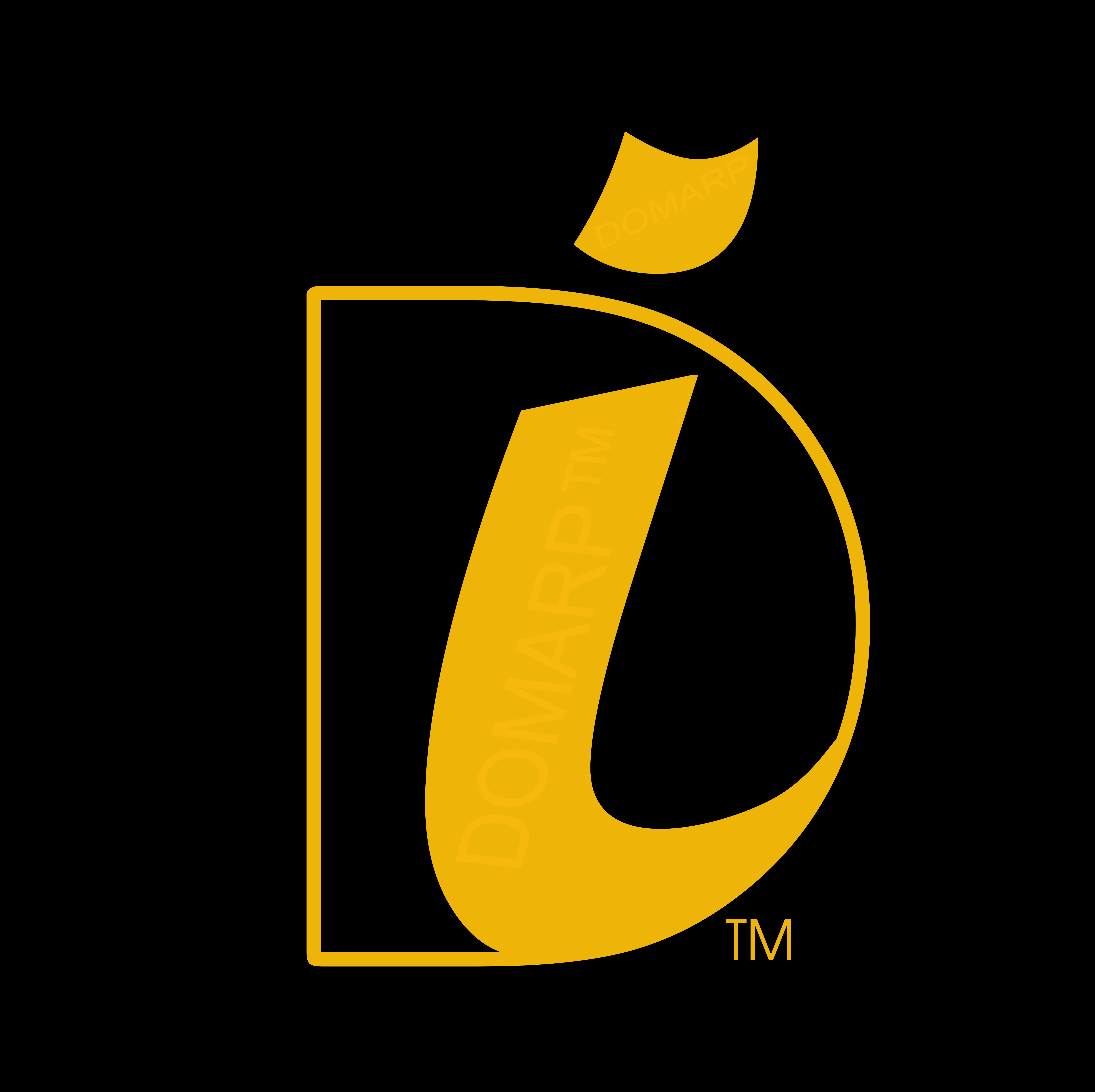 DIPL Logo